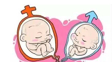 怀代生包成功借卵生子